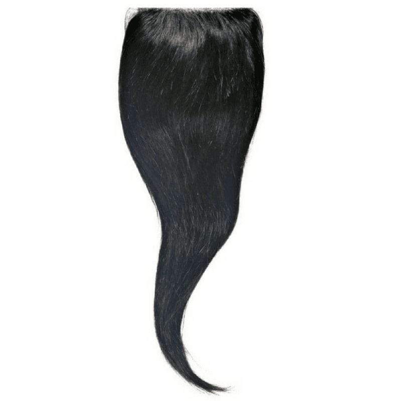 Malaysian Silky Straight Closure - Froliage