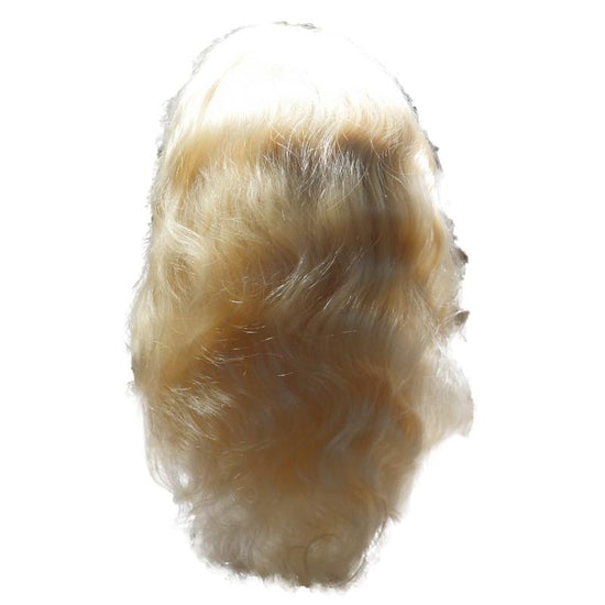 Front Lace Blonde Body Wave Wig - Froliage